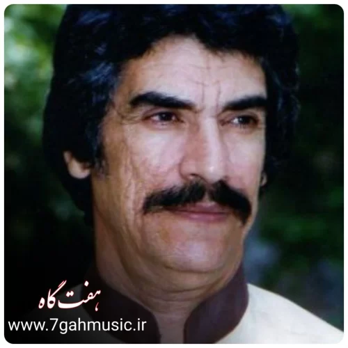 رضوی سروستانی