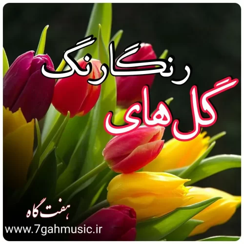 گل های رنگارنگ