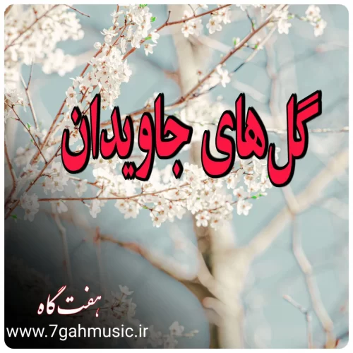 گلهای جاویدان