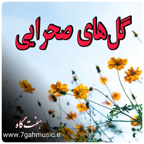 گلهای صحرایی