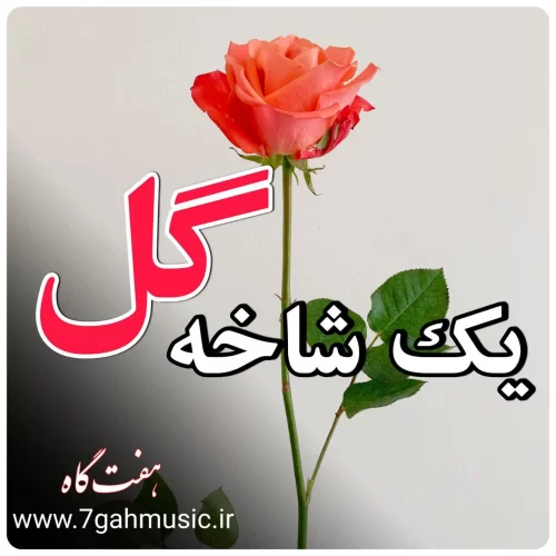 یک شاخه گل