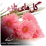 گلهای تازه
